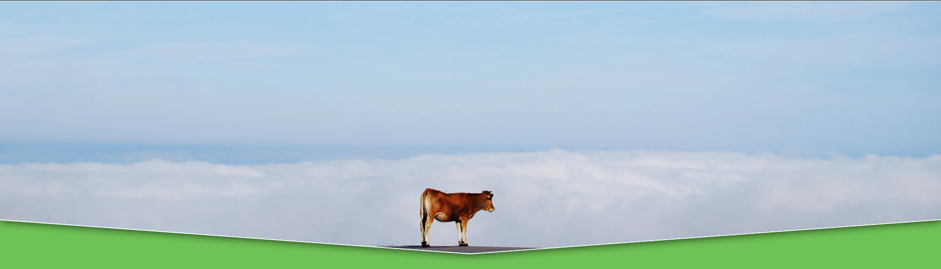 Foto de Francuines - Mirador del Chivo de Brañavieja.